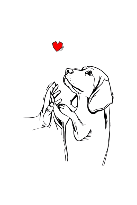 TOUCH & HEARTBEAT
